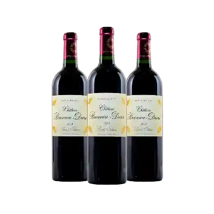 Chateau Branaire Ducru 2021 3支套裝